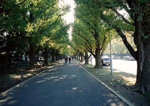 一宮市で車検をおトクに！2026年最新版の最善ガイド