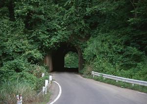 カーコーティングはキーパープロショップ