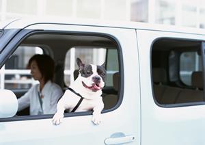 高品質のカーカバーは車体をしっかり守る