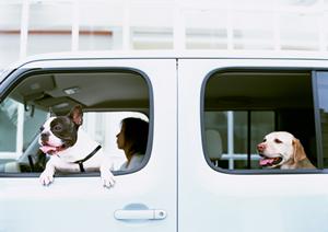 安心できる値段で車検ができるお店です