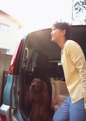 車検のコバックのメリットや特徴とは